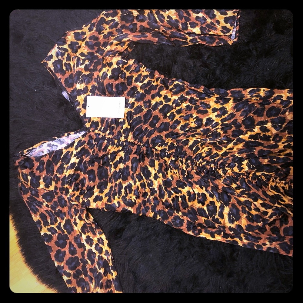 ZARA Satin Rouched Silky Cheetah Dress